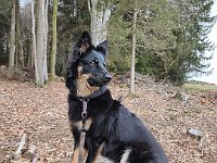 Olina  Bes.: Liliana und Werner Frank